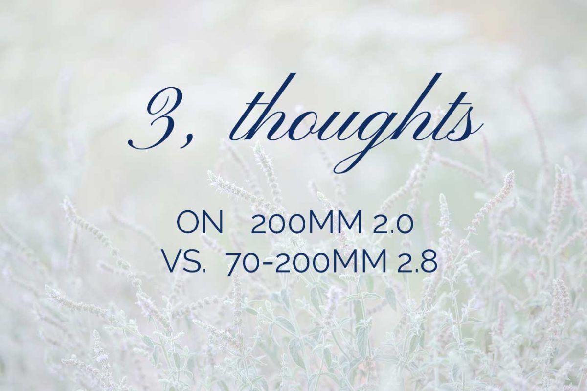 3 thoughts about the 200mm vs 70-200mm