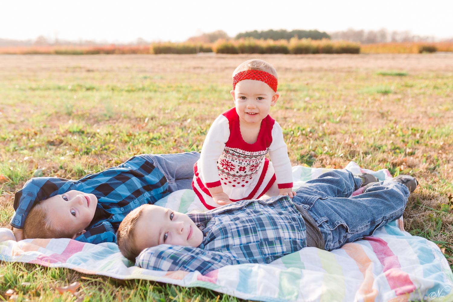 toddlers sitting on a blanket out in a field.