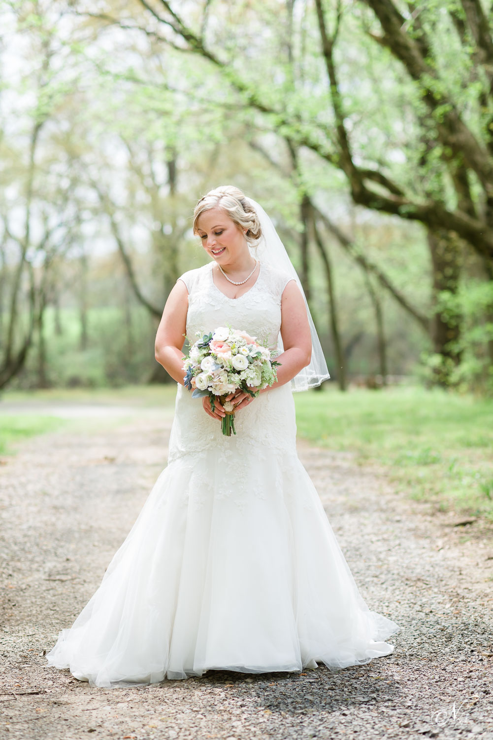 bride walking in early spring down tree covered road at Hiwassee River weddings